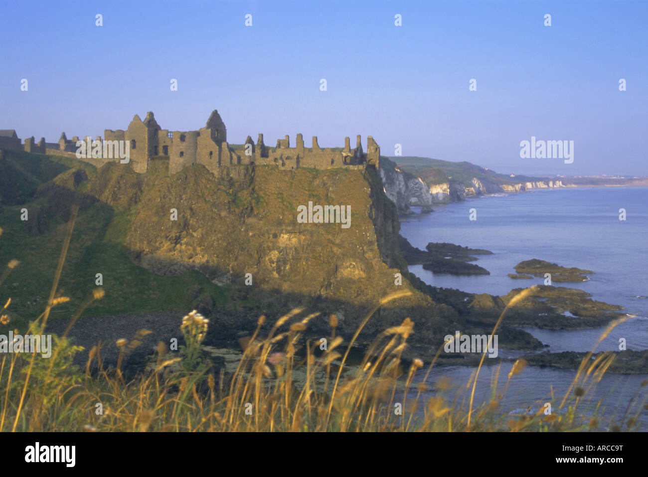 Dunluce Castle, nella contea di Antrim, Irlanda del Nord, Regno Unito, Europa Foto Stock