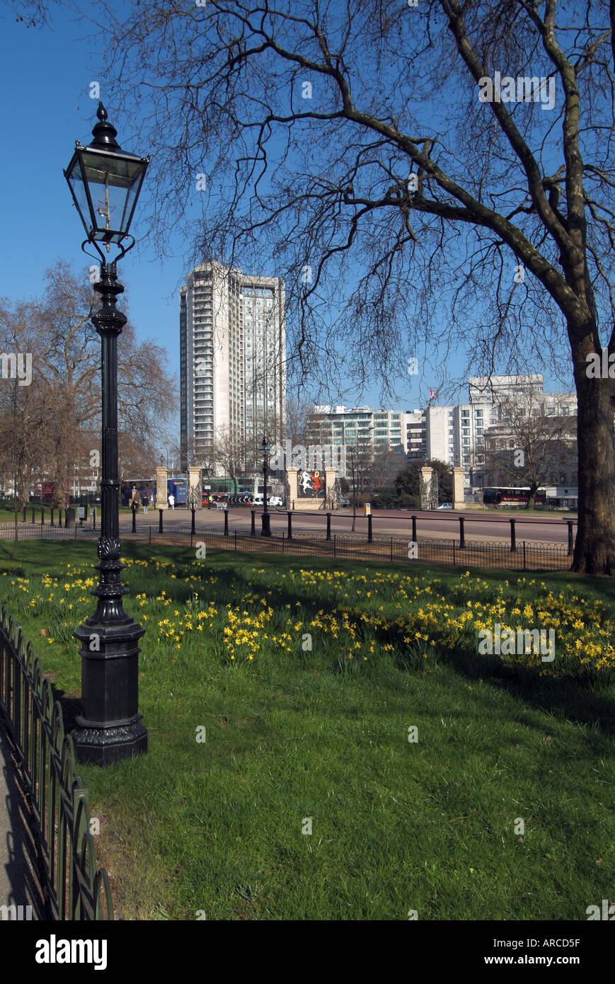 Winter Trees & Luxury Hilton Hotel business in a 5 stelle Edificio di grattacieli di riferimento del paesaggio urbano in Park Lane Hyde Park Mayfair Londra Inghilterra Regno Unito Foto Stock