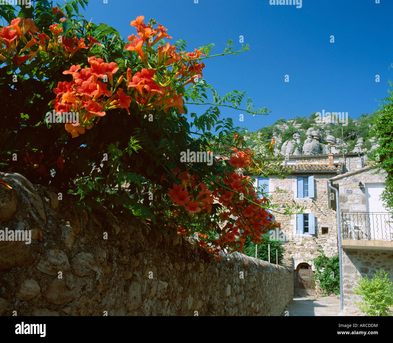 Fiori arancioni sovrastante borgo stretto street, Vogue, Ardeche, Rhone-Alpes, Francia, Europa Foto Stock