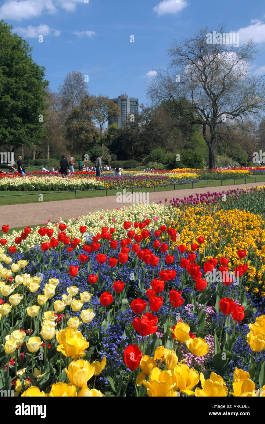 London Hyde Park, vicino a Hyde Park Corner primavera visualizzazione dei fiori Foto Stock