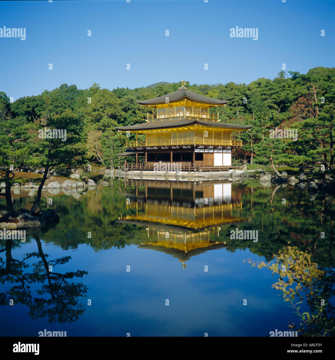 Kinkakuji 'Golden' Tempio, Kyoto, Kansai, Giappone Foto Stock