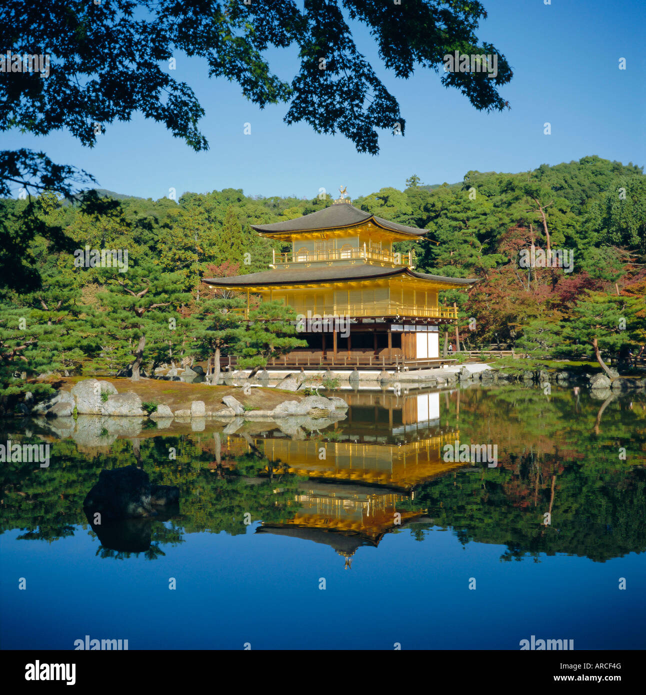 Kinkaku-ji " Golden' Tempio, Kyoto, Kansai, Giappone Foto Stock