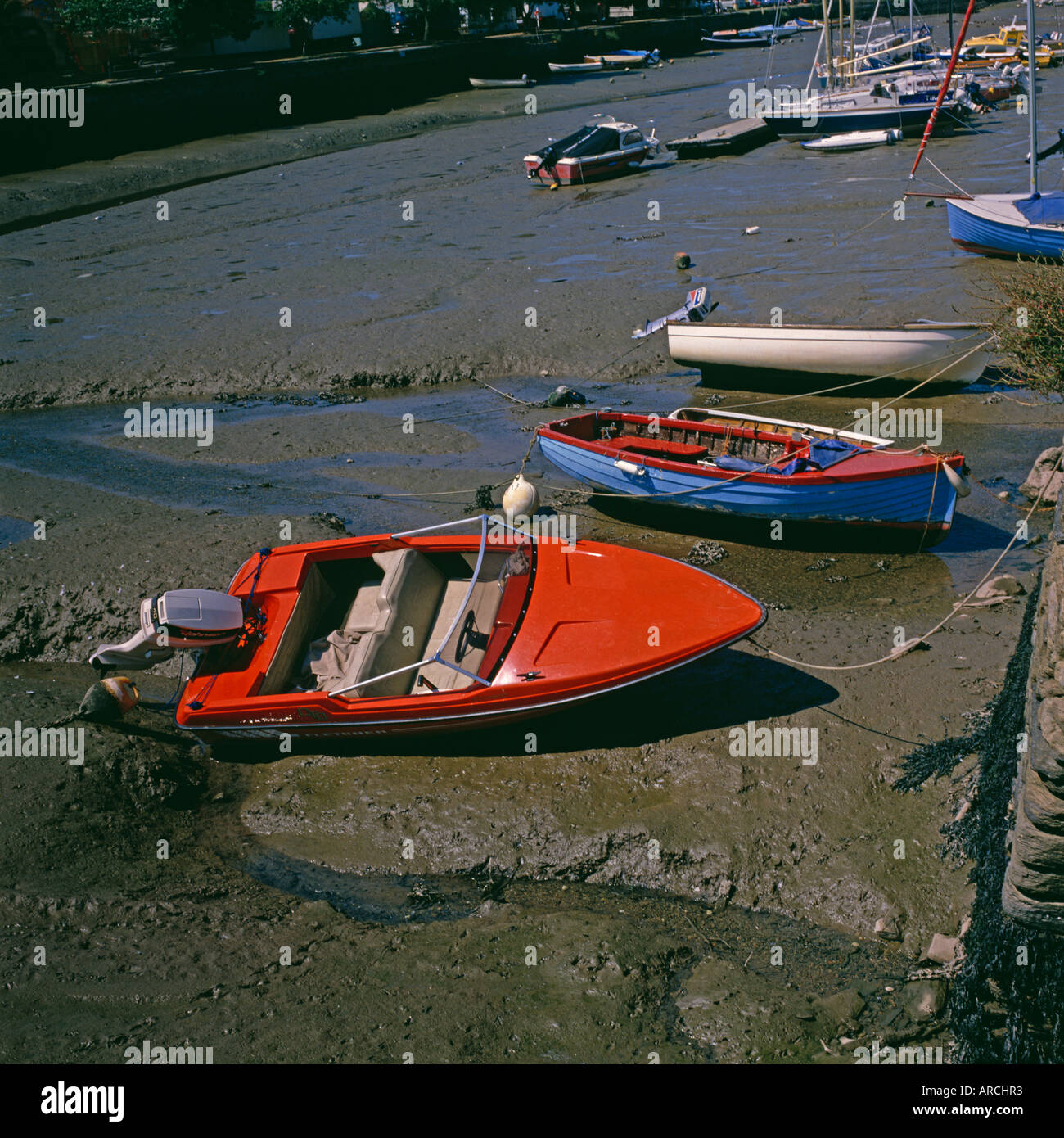 Rosso, bianco e blu di barche sul fango con la bassa marea, Kingsbridge, Devon Foto Stock