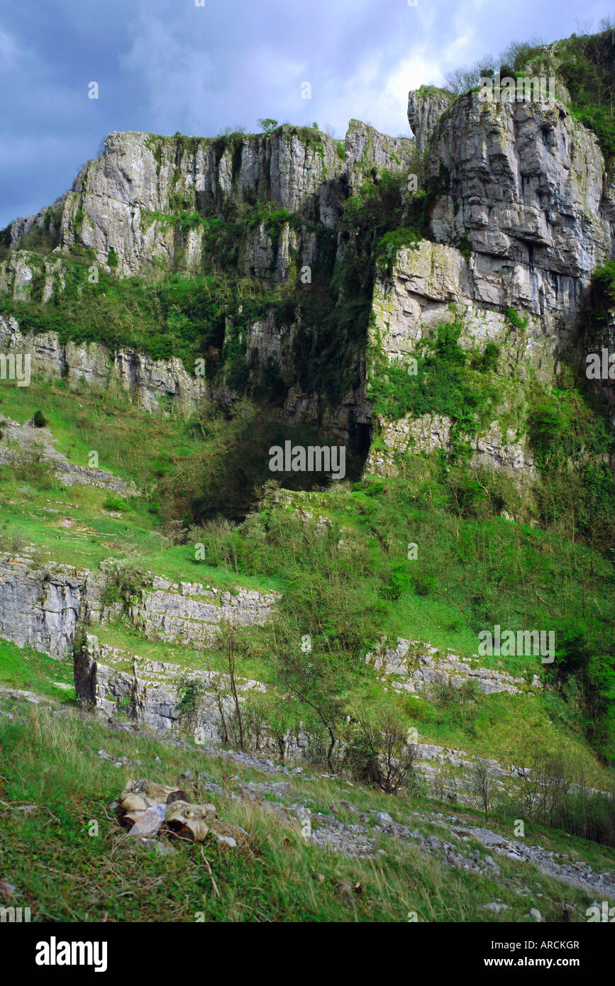 Le scogliere calcaree, Cheddar Gorge, Somerset, Inghilterra, Regno Unito Foto Stock