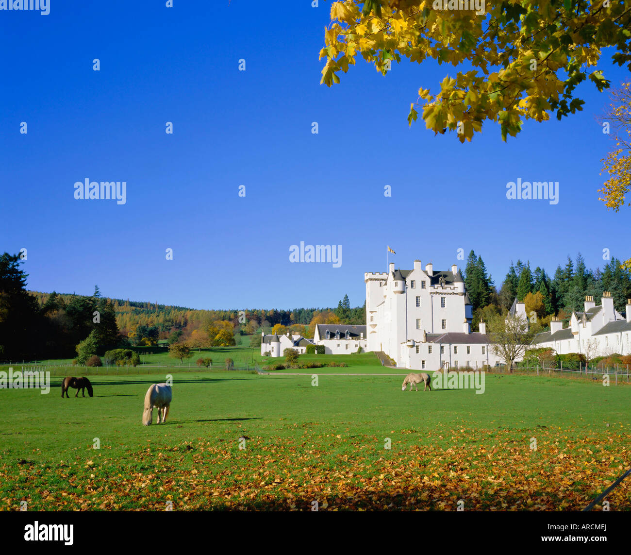 Blair Castle, Blair Atholl, Tayside, Scotland, Regno Unito, Europa Foto Stock
