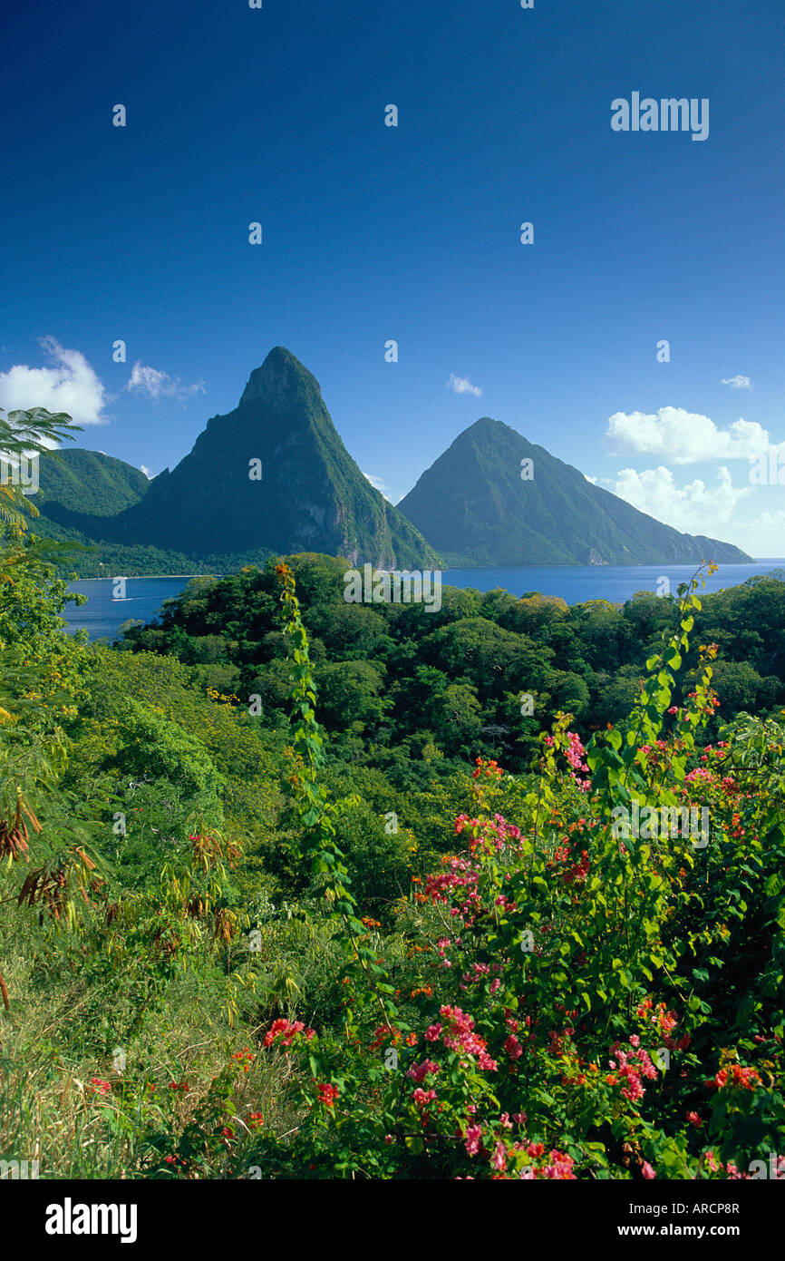 I Pitons, St.Lucia, dei Caraibi Foto Stock