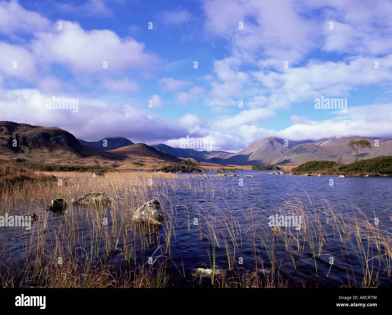 Lochan Na H-Achlaise e le montagne nere, con cloud su Clach Leathad, Rannoch Moor, regione delle Highlands, Scotland, Regno Unito Foto Stock