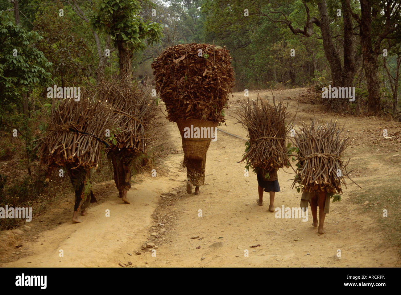 Le donne e i bambini a camminare su una strada di campagna, portando fasci di legna da ardere, Chautara, a nord di Kathmandu, Nepal, Asia Foto Stock