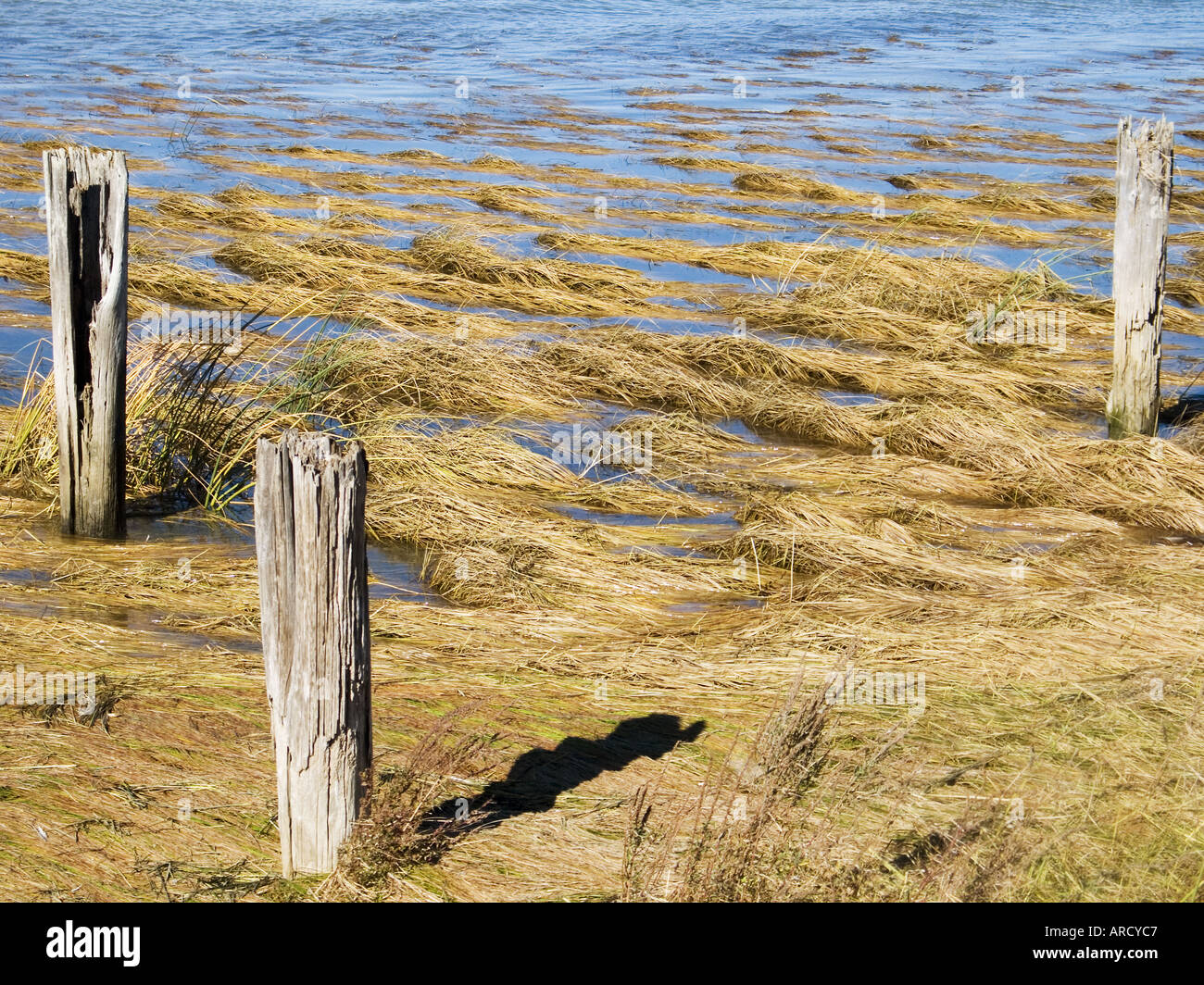 Vecchia botte supporta Foto Stock