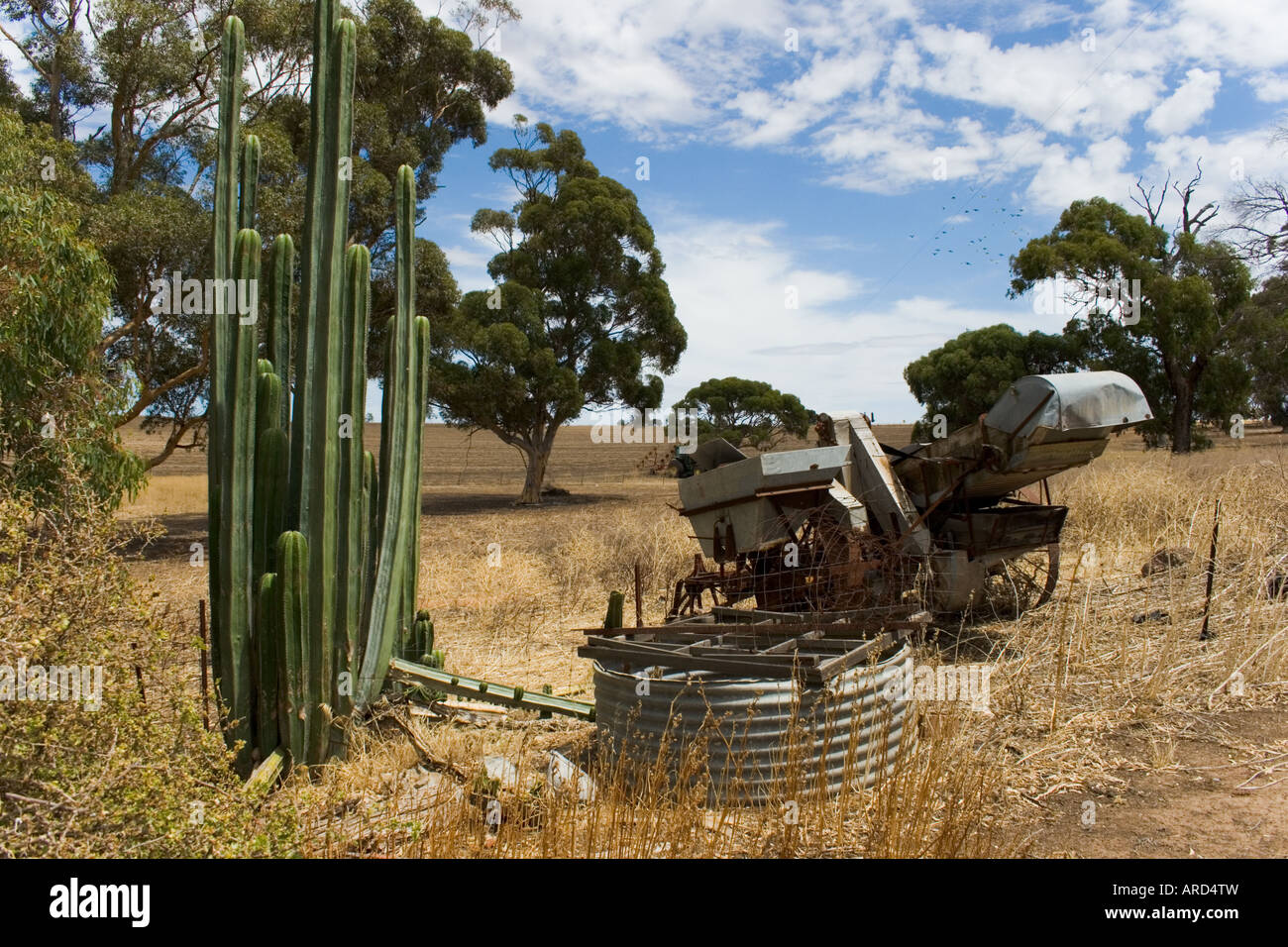 Questa foto è stata presa su una siccità aziende agricole colpite e raffigura i macchinari di un epoca passata Foto Stock