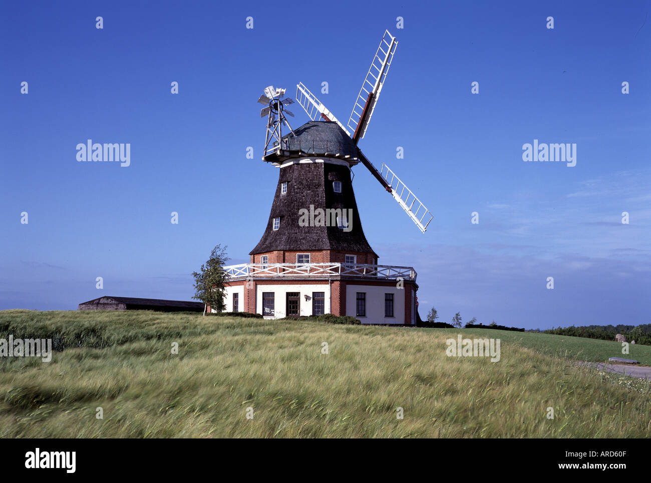 Klütz, Windmühle, Foto Stock