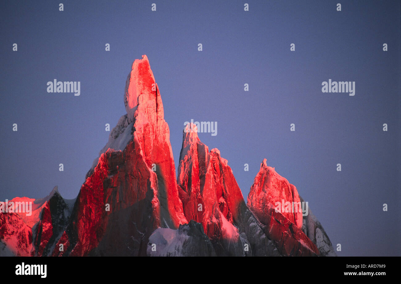 Alpenglow sul Cerro Torre, Parque Nacional Los Glaciares, Patagonia, Argentina. Foto Stock