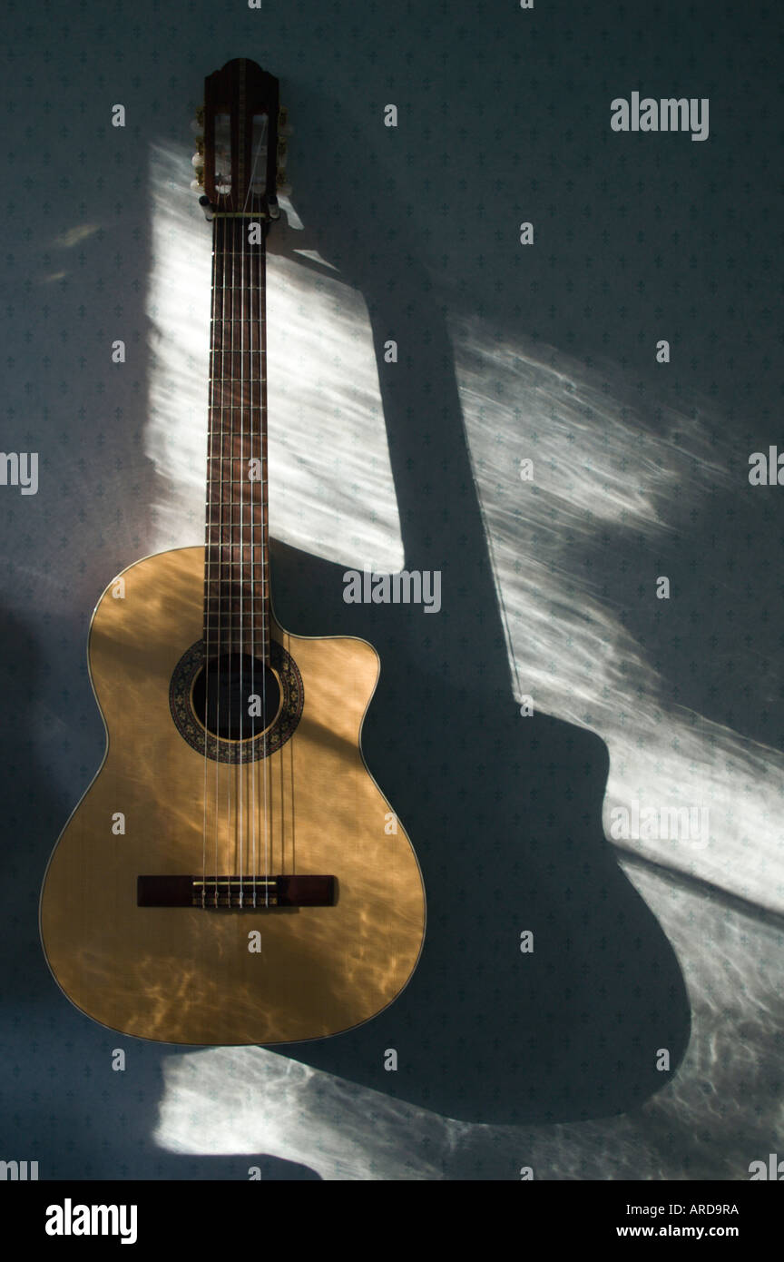 Chitarra Classica design cutaway CD album cover music libro etc Foto Stock