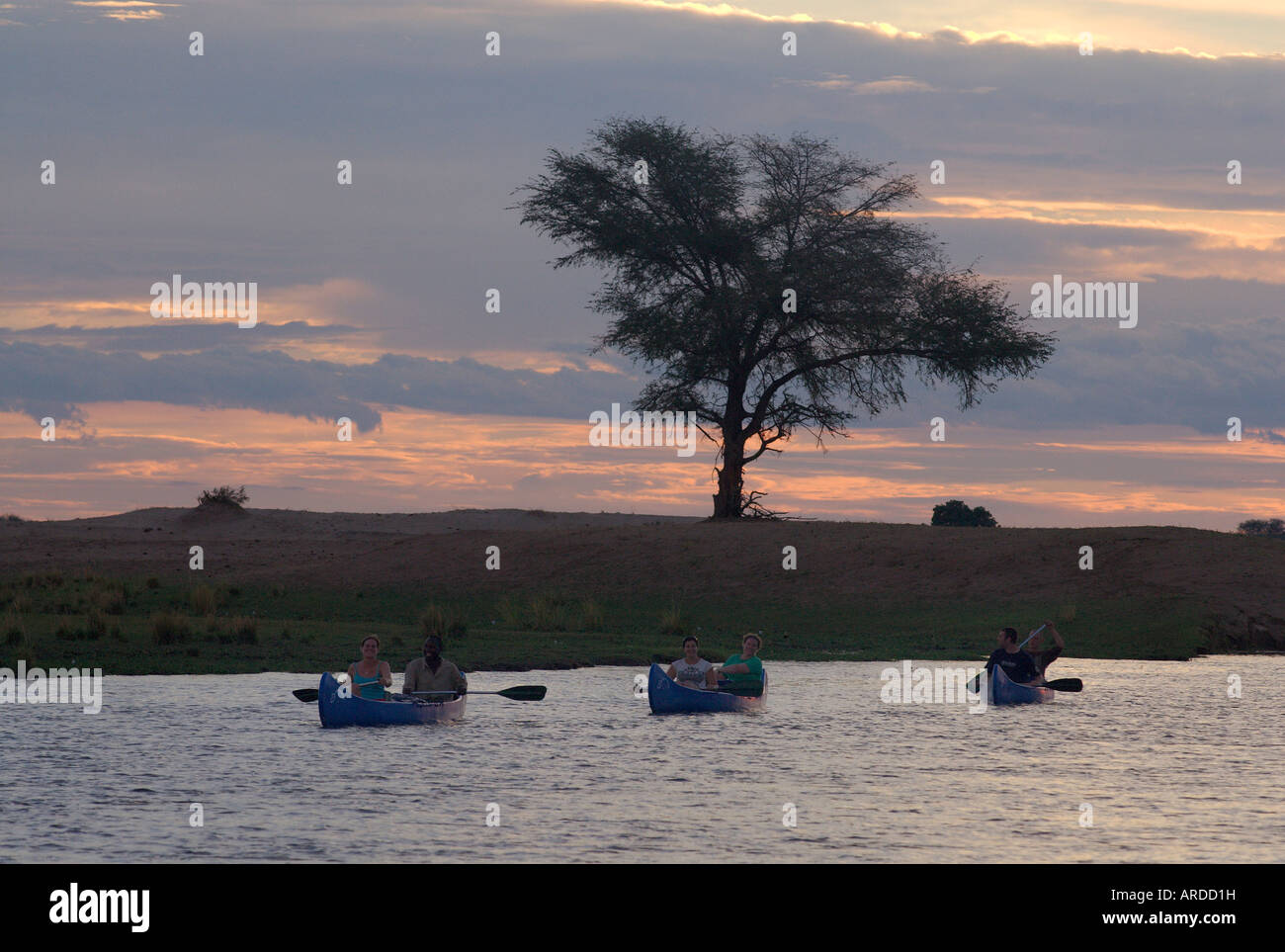 I turisti potranno godere dell'unico e spettacolare esperienza di un safari in canoa sul fiume Zambesi, Zimbabwe. Foto Stock