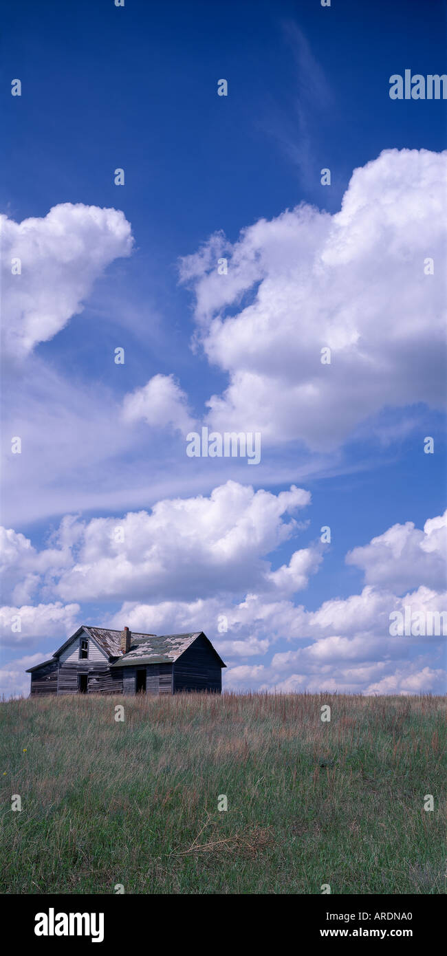 Abbandonato il prairie home mancanti di finestre e porte di scandole di rivestimento tetti in North Central North Dakota Foto Stock