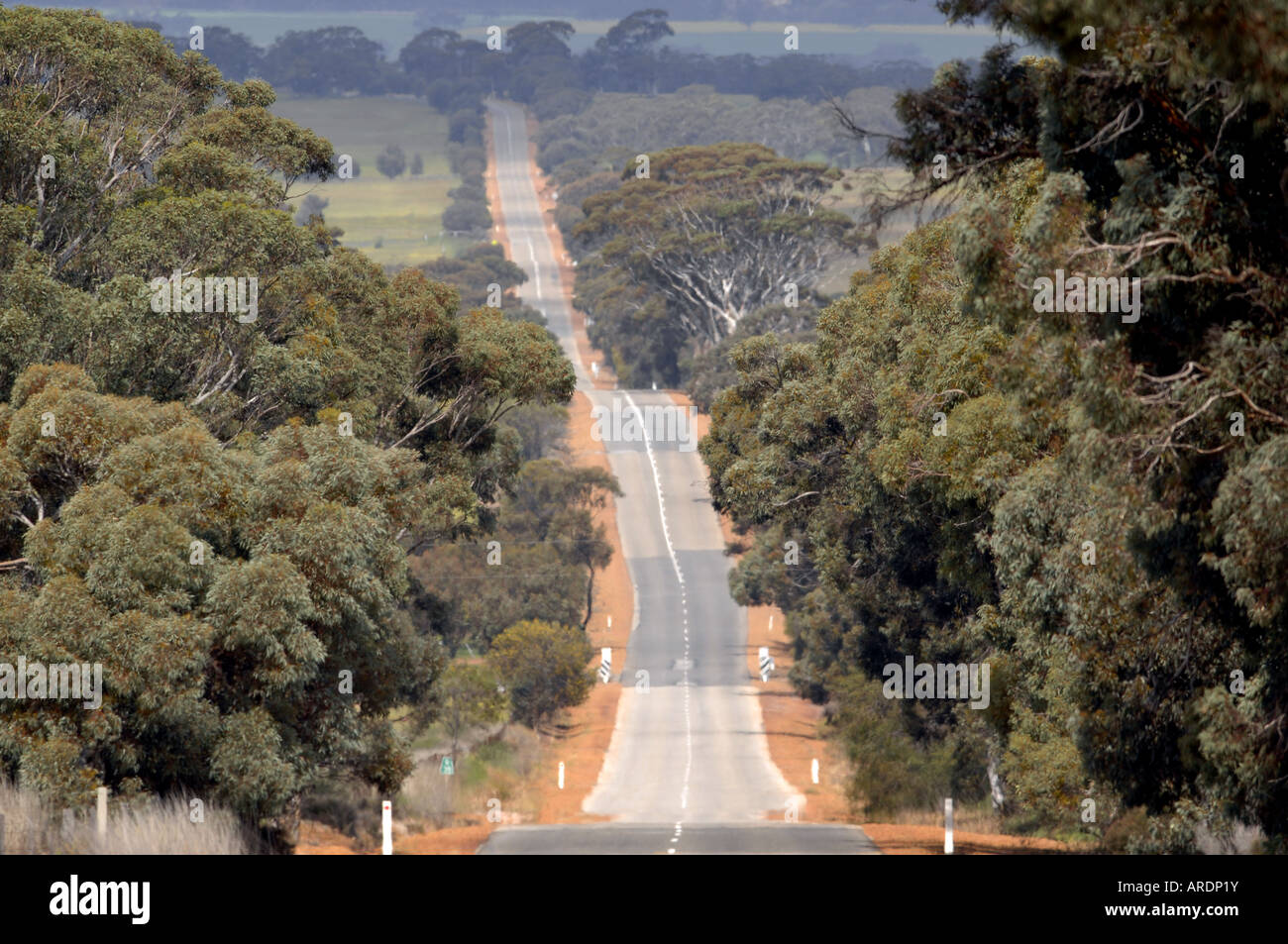 Una lunga strada di campagna nei pressi di Quairading in Australia Occidentale Foto Stock