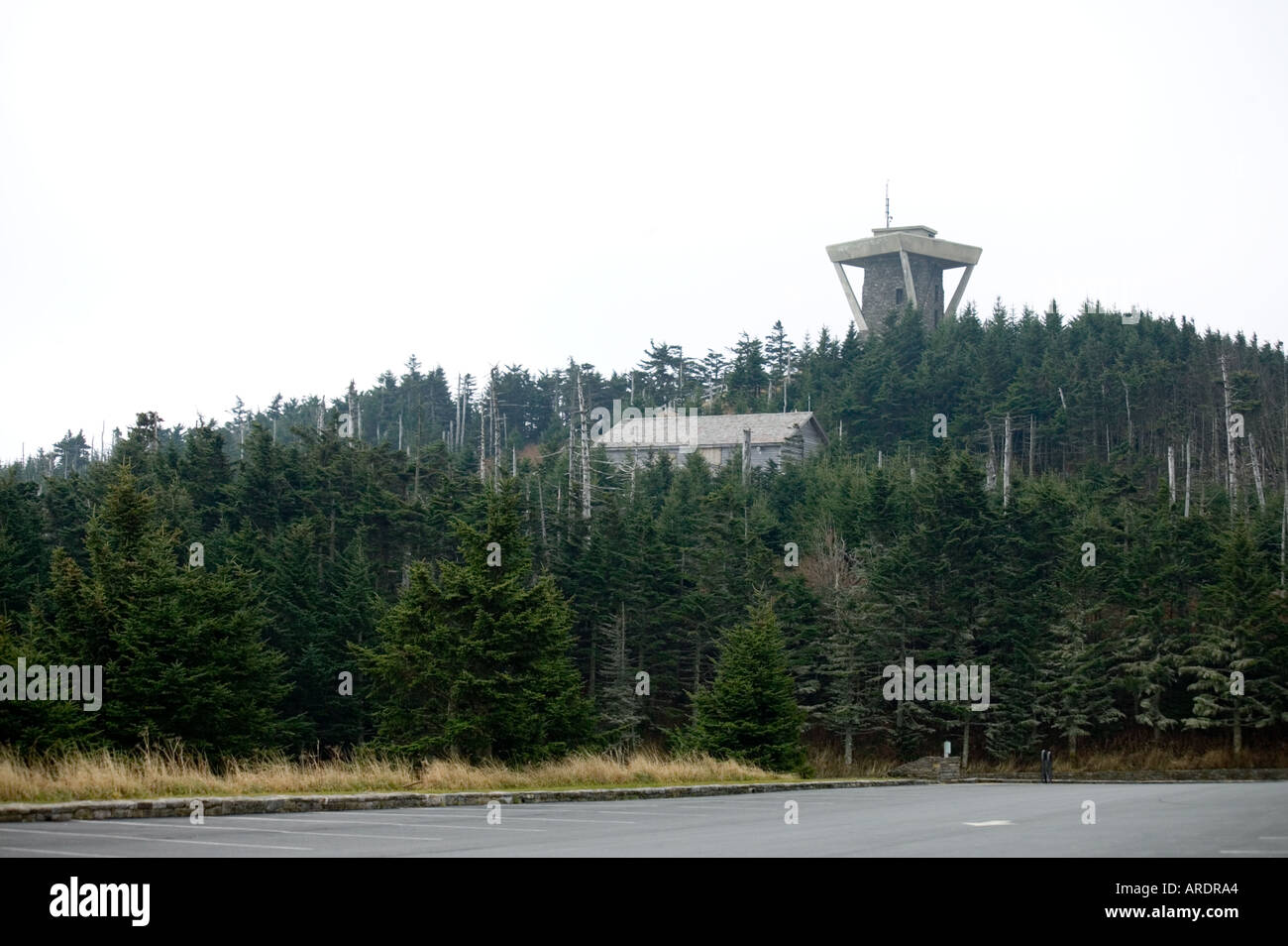 Rientrano tra le Blue Ridge Mount Mitchell Foto Stock