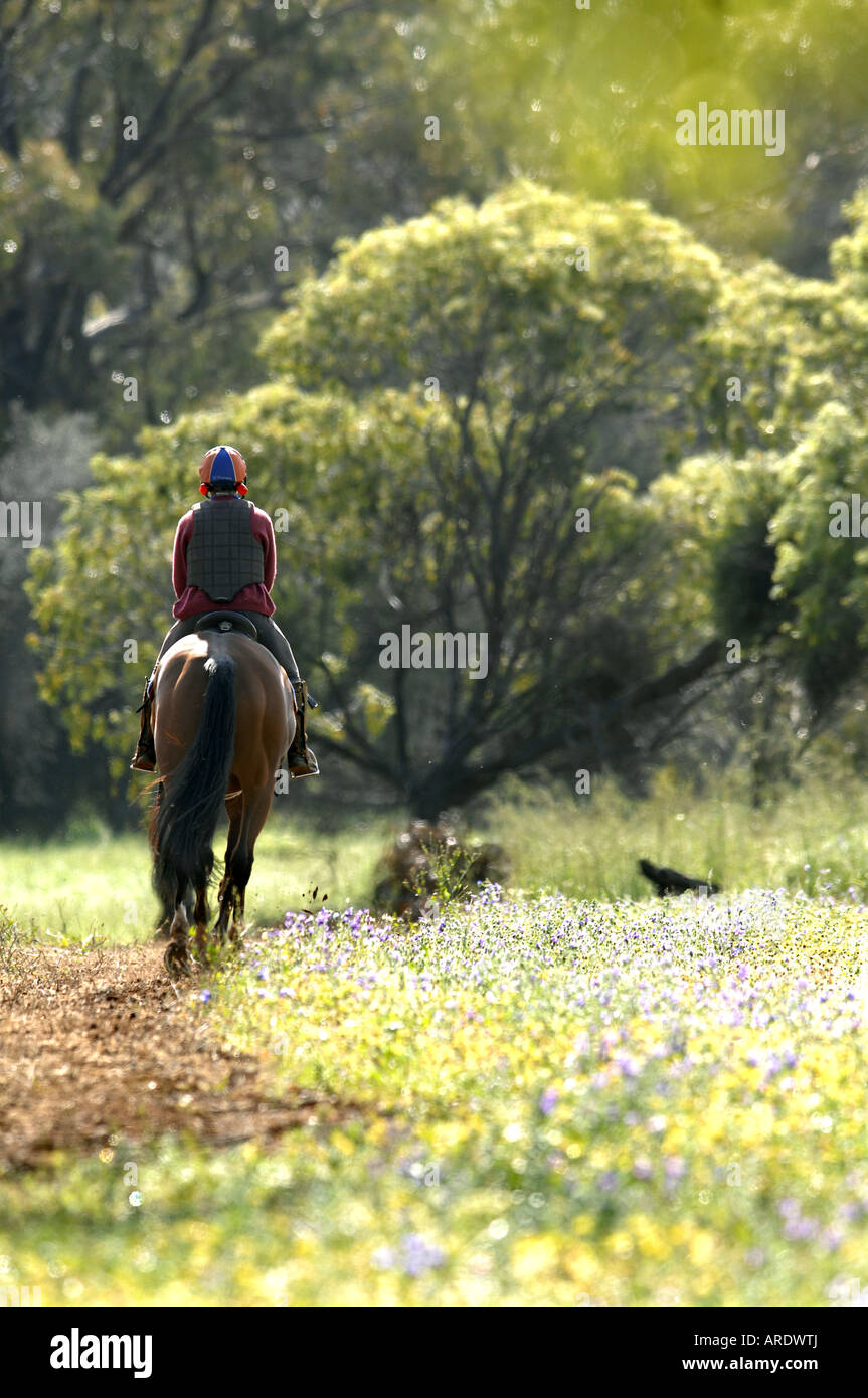 Una donna che cavalca un cavallo attraverso fiori selvaggi vicino a York in Australia Occidentale Foto Stock