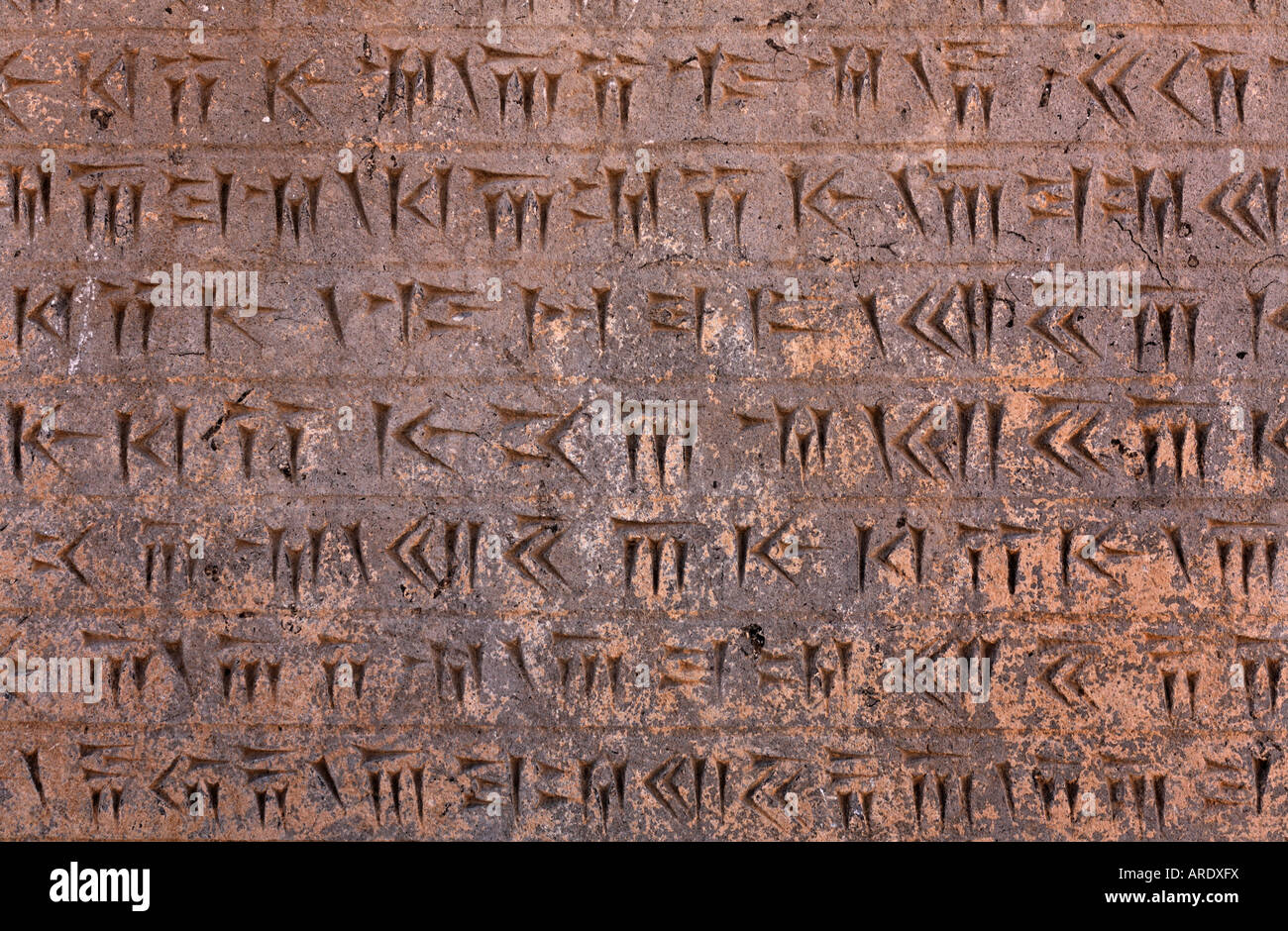 Intagliato script cuneiforme a Persepoli Iran Foto Stock