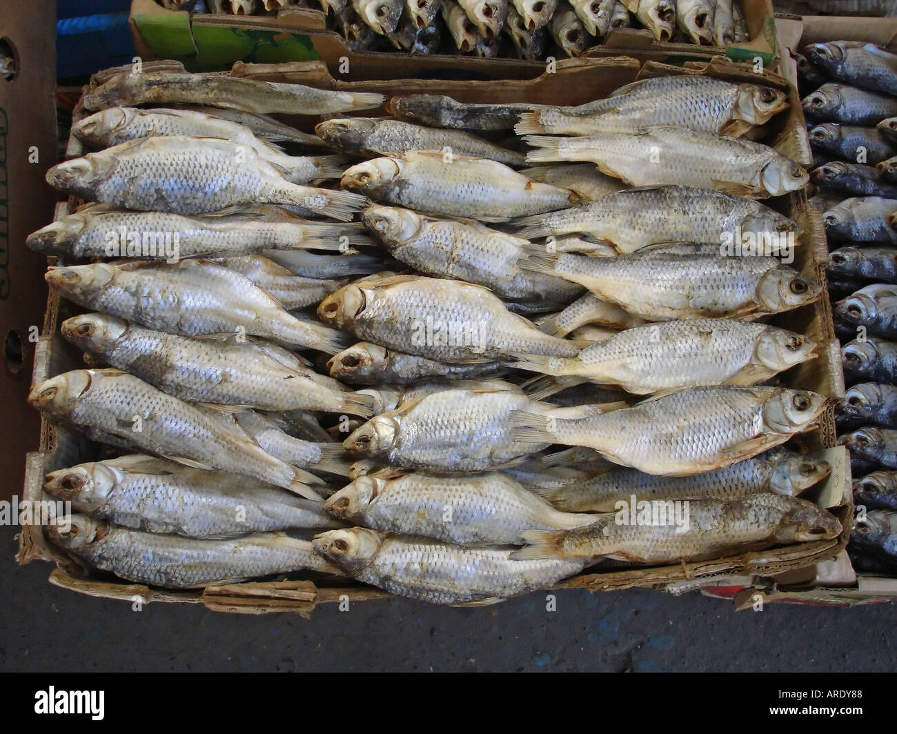 Pesci secchi vobla stand a città mercato del pesce in Astrakhan Russia meridionale Foto Stock