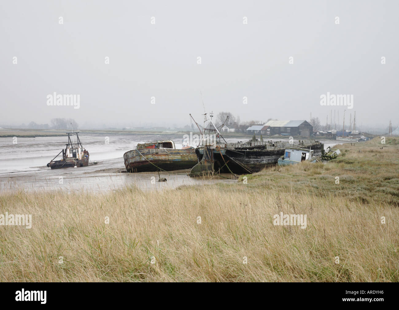 Vecchi relitti di imbarcazioni stranded nelle paludi. Foto Stock