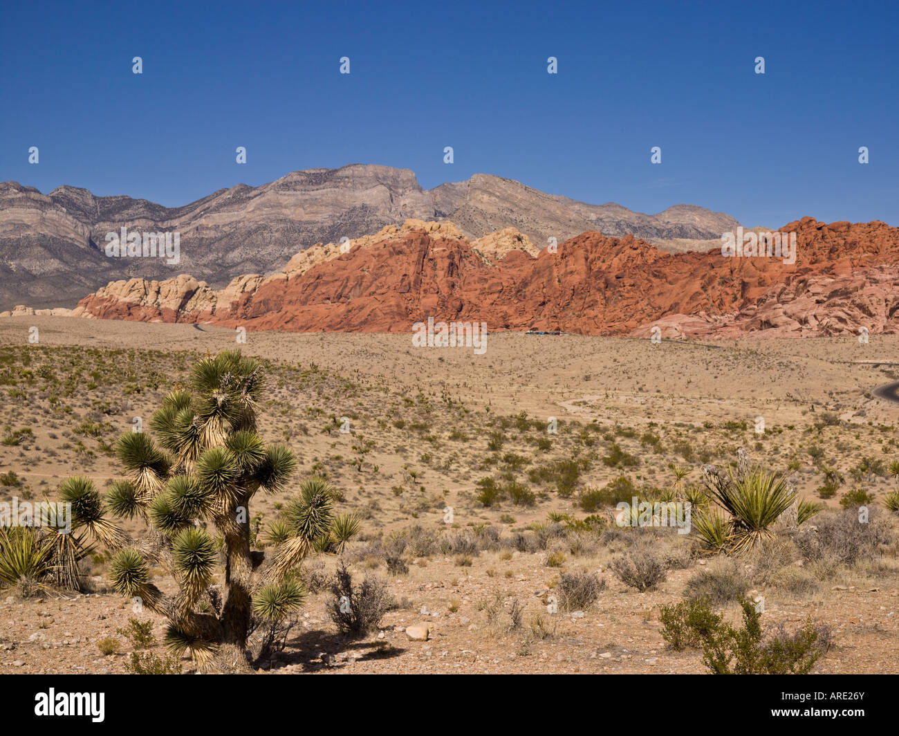 Paesaggio vista del Red Rock Canyon a Las Vegas Nevada Foto Stock