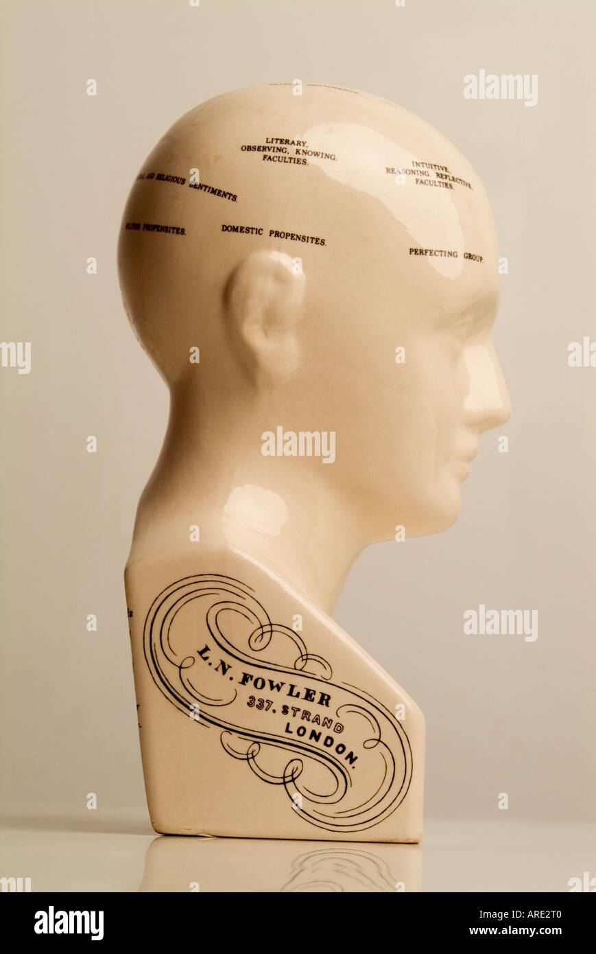 Il Phrenology testa visualizzazione caratteristiche umane Foto Stock