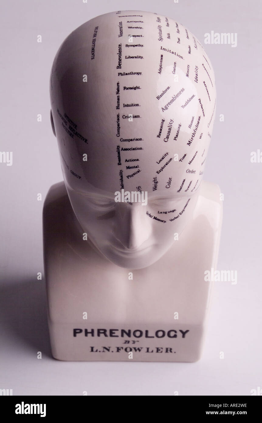 Il Phrenology testa visualizzazione caratteristiche umane Foto Stock