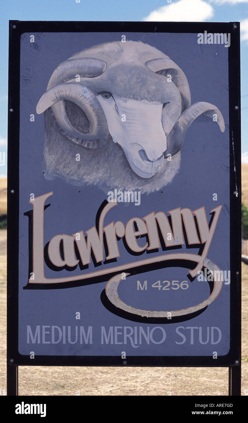 Lawrenny Merino Allevamento Derwent Valley Tasmania Foto Stock