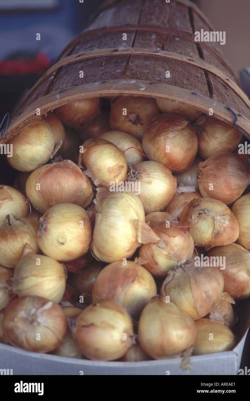 Real casa dolce coltivato giallo Onioni in Vidalia Georgia per la vendita 2 il pubblico sul mercato agricolo a Macon GA Foto Stock