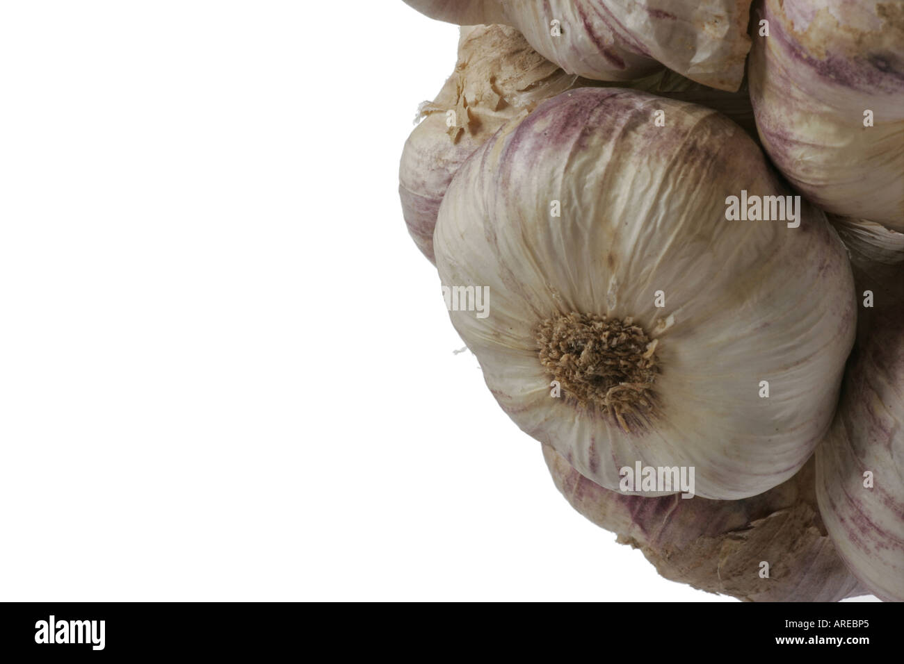Close up di aglio appesi sulla destra del telaio con uno spazio bianco sulla sinistra Foto Stock