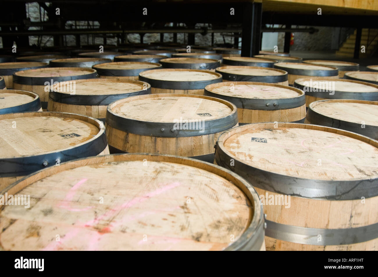 Whiskey bourbon o botti di legno all'interno di una distilleria di alcool in attesa di essere riempiti. Foto Stock