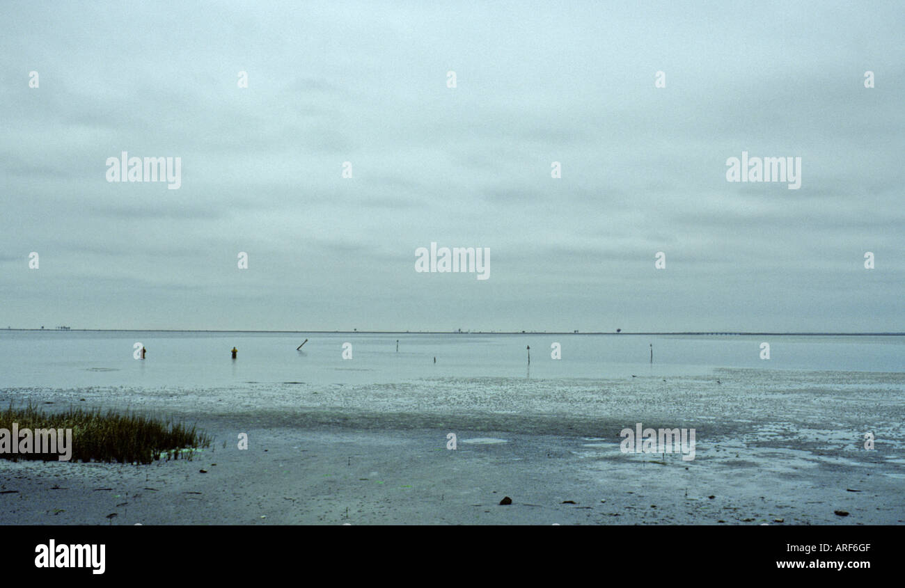 Gli uomini la pesca nella baia, Clearwater, Florida USA Foto Stock
