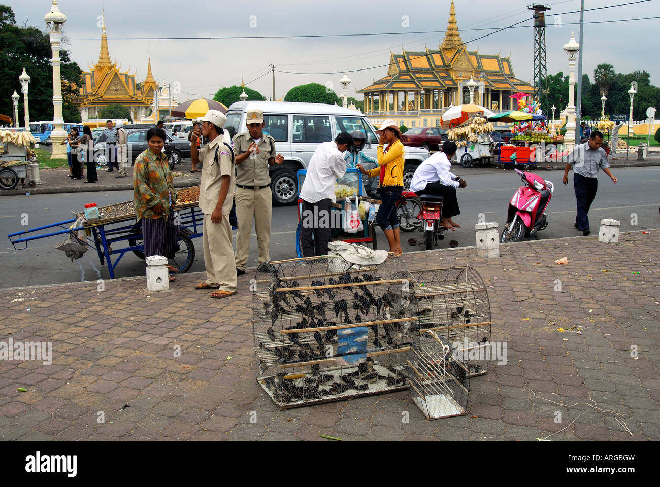 Rondoni ingabbiati in vendita per rilasciare per rendere merito,Phnom Penh,Cambogia Foto Stock