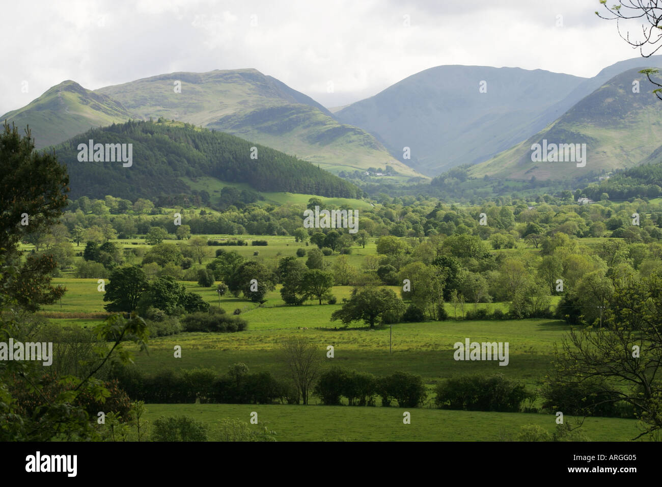Il Newlands Valley, Lake District, REGNO UNITO Foto Stock