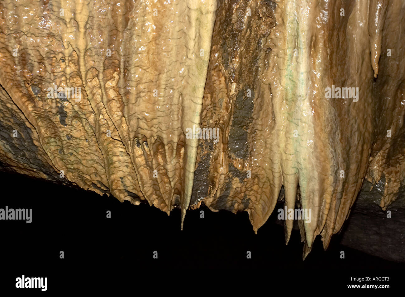 Close up di ribbon stalattiti in Marble Arch Caves European Geopark visualizza grotte riserva naturale nazionale Foto Stock