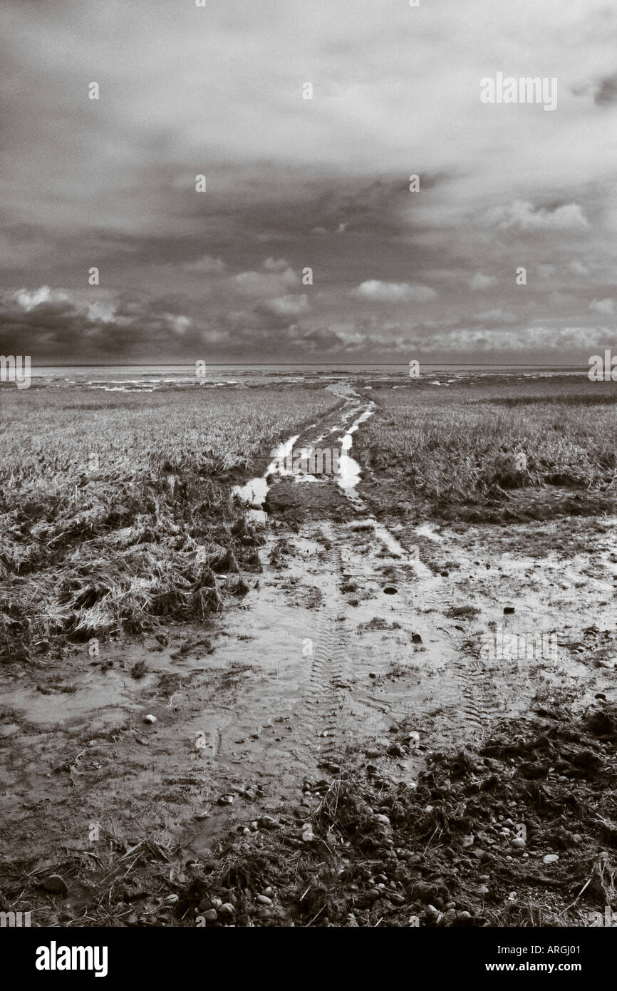 Tracce di pneumatici che conduce nella baia di Morecambe Foto Stock