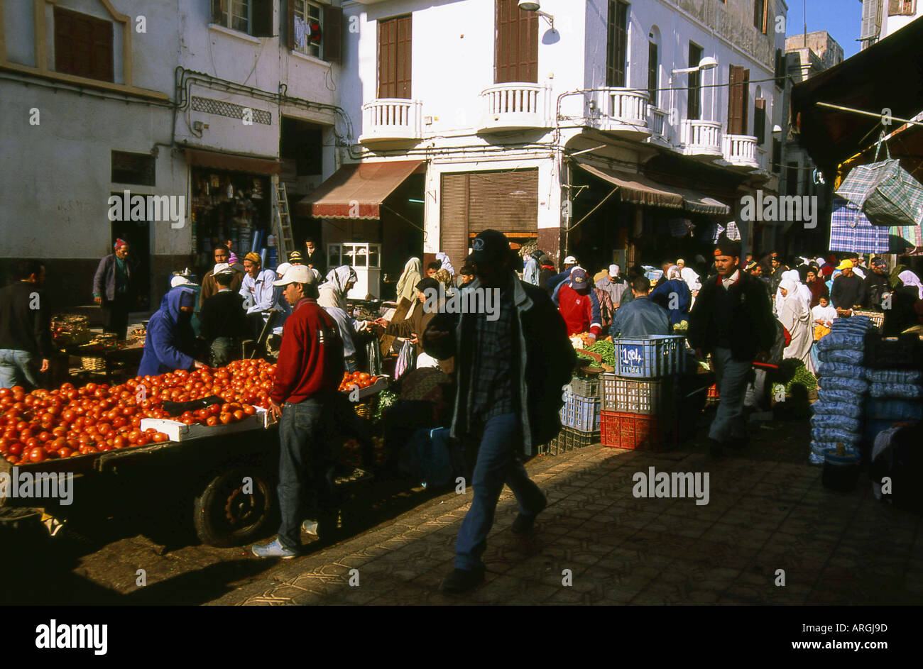 La vecchia Medina Dar-el-Baida maggiore Casablanca regione Western Marocco Maghrebian del Maghreb arabo berbero arabo marocchino Africa del Nord Foto Stock