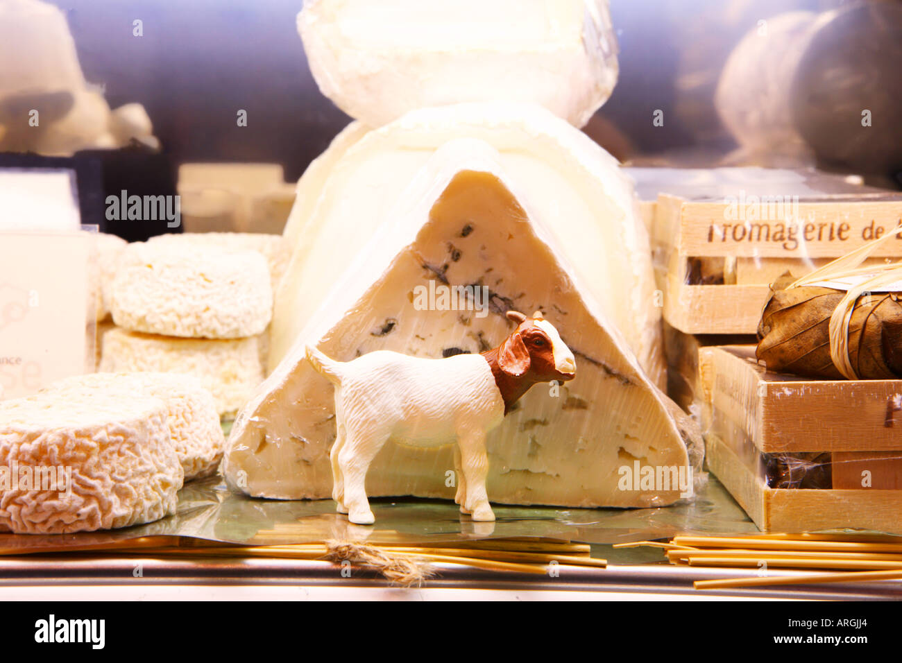 VISUALIZZAZIONE DEL FORMAGGIO Foto Stock