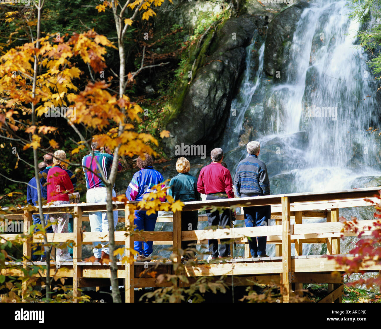 Stati Uniti d'America VERMONT MOSS GLEN FALLS verde foresta di montagna Foto Stock