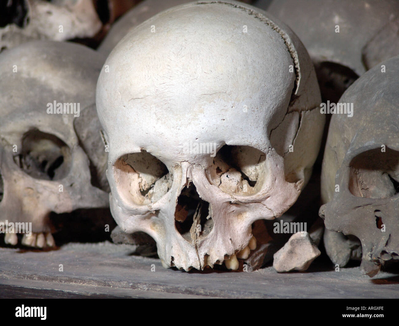Dettaglio di teschi umani al kostnice ossario di sedlec vicino a Kutna Hora, Repubblica ceca. Xii secolo Foto Stock