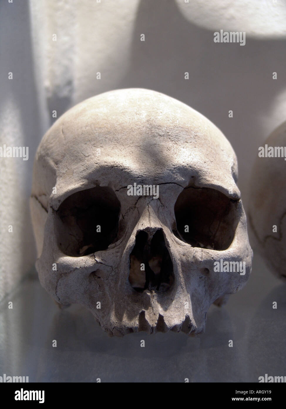 Dettaglio del cranio al kostnice ossario di sedlec vicino a Kutna Hora, Repubblica ceca Foto Stock