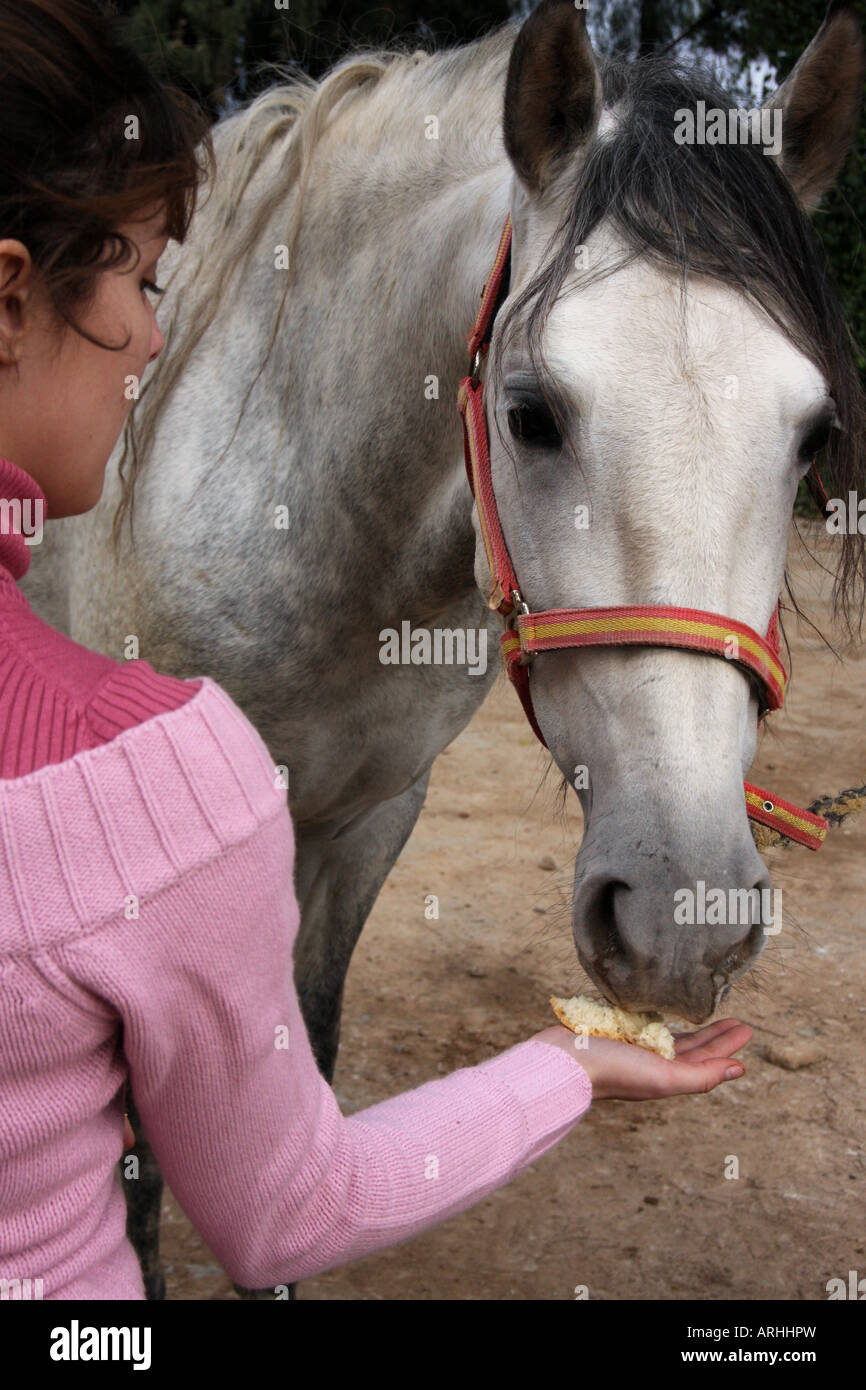Giovane donna alimentazione e accarezzando una femmina di Cavallo Spagnolo Foto Stock