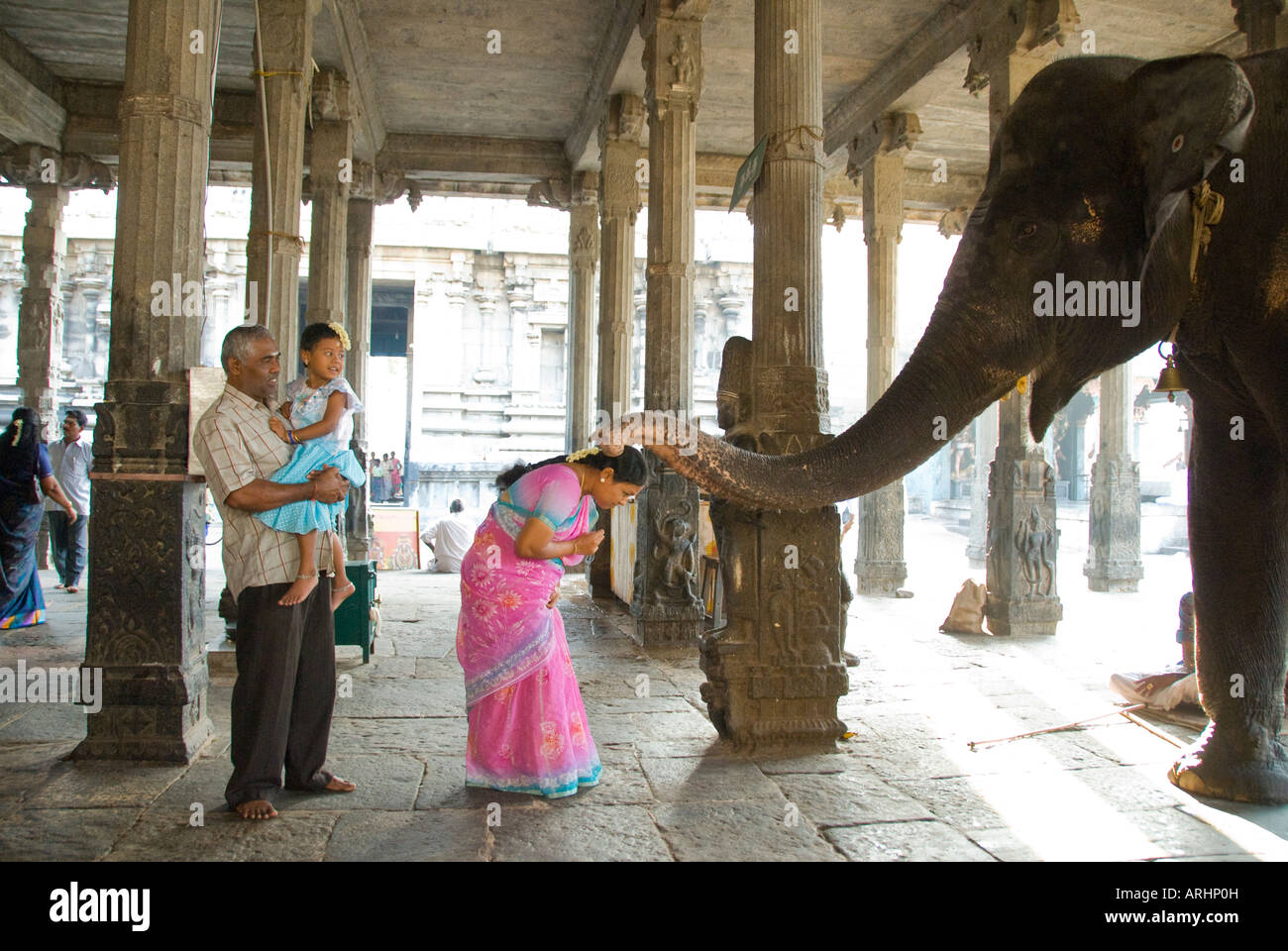 Il Tempio elefante dà una benedizione al tempio Arunachaleswarer Tiruvannamalai in Tamil Nadu India Foto Stock