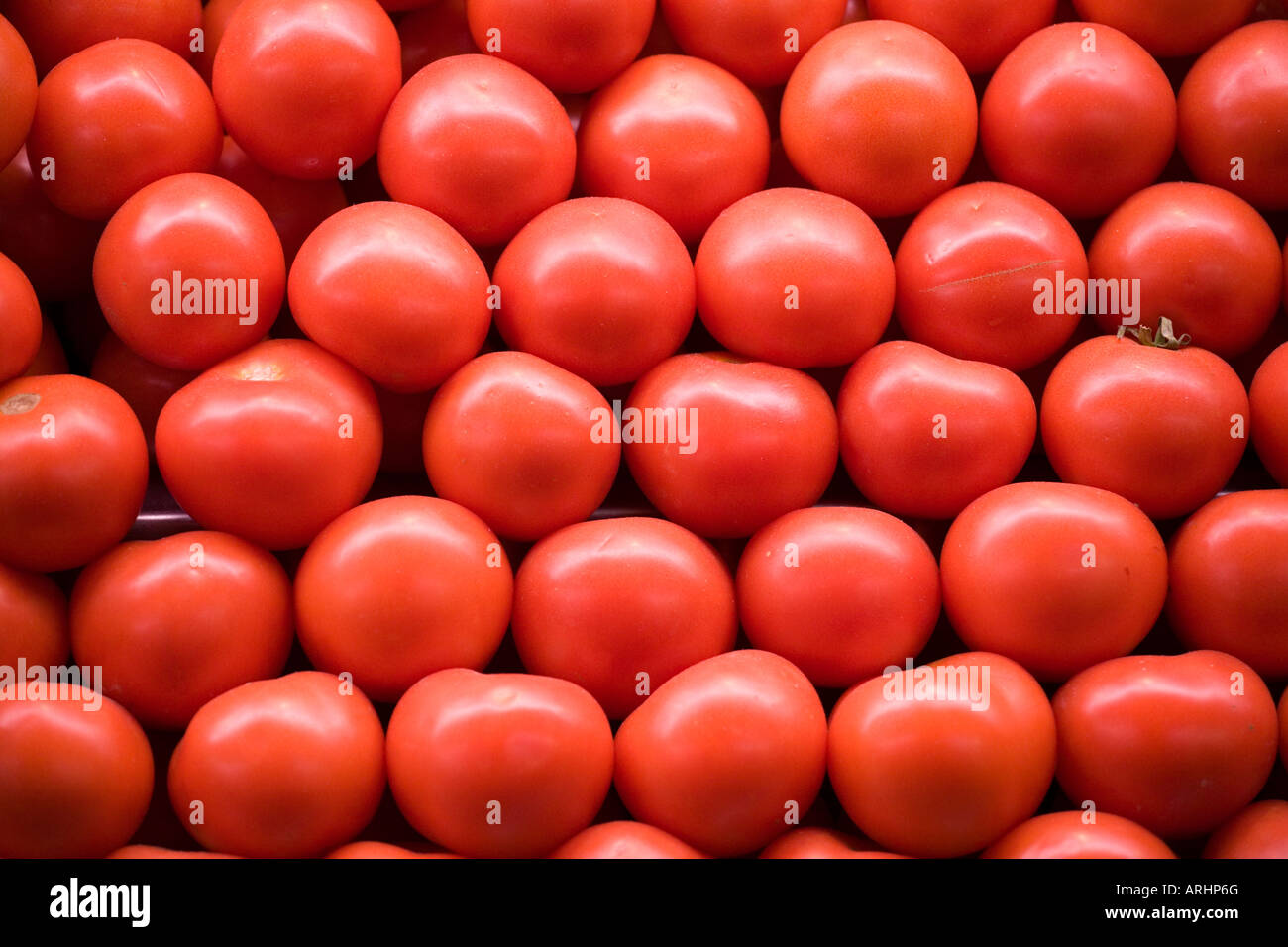 Pomodori nel mercato la Boqueria Foto Stock
