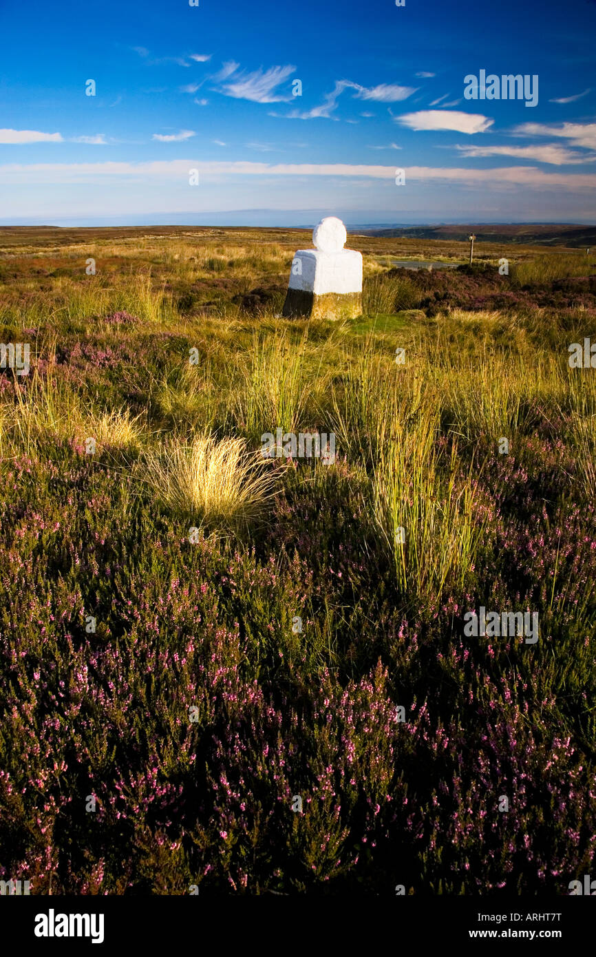 Croce Bianca Fat Betty Rosedale Capo North York Moors National Park Foto Stock