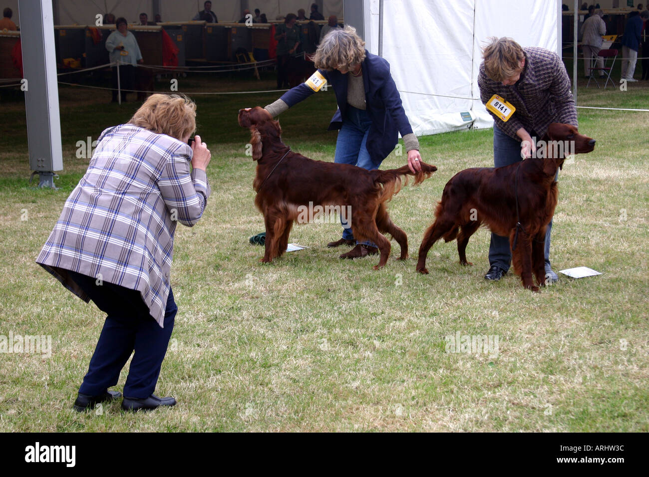 I proprietari di cani a tre contee dog show malvern WORCESTERSHIRE REGNO UNITO avente foto scattata Foto Stock