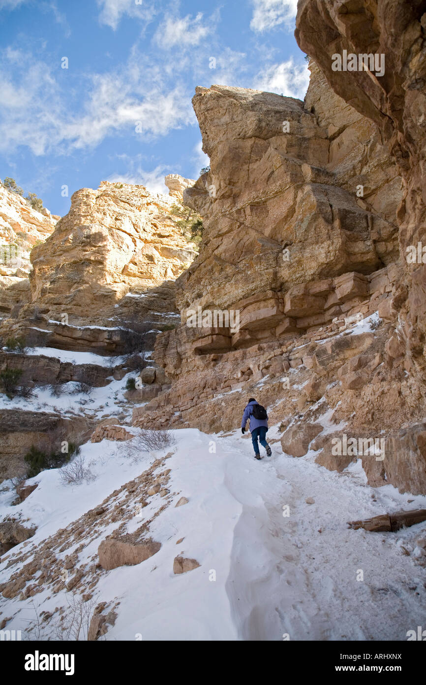 Escursionista sulla South Kaibab Trail nel Grand Canyon in inverno Foto Stock