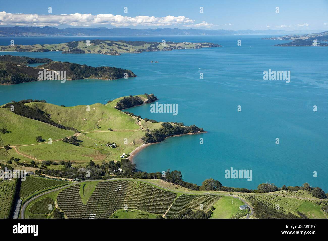 Vigneto Waiheke Island Auckland Isola del nord della Nuova Zelanda antenna Foto Stock