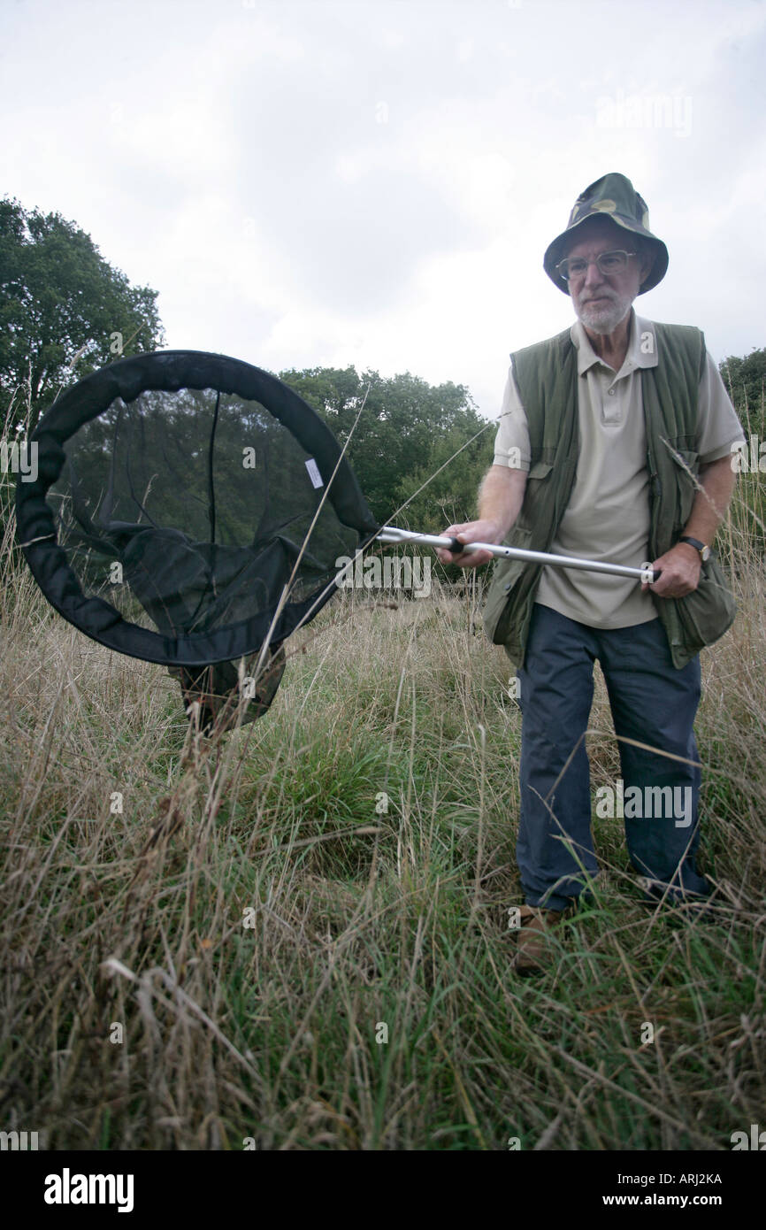 Uomo con Butterfly net Midlands UK Foto Stock